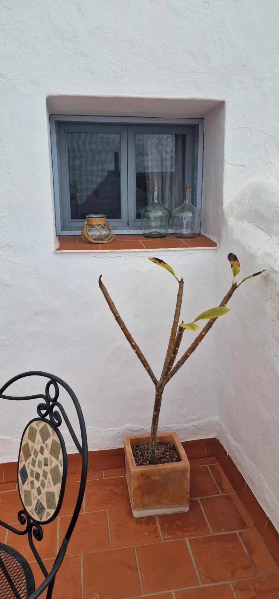 La Casa De Abuela Habitaciones Con Bano Compartido En El Casco Historico De Frigiliana "Solo Adultos" 外观 照片