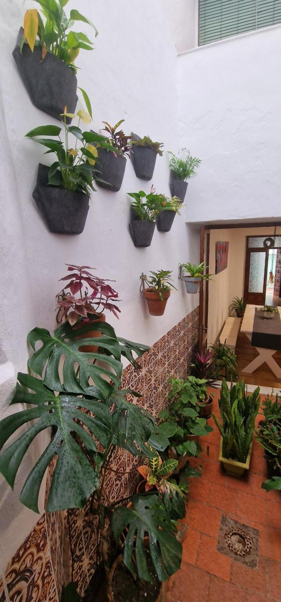 La Casa De Abuela Habitaciones Con Bano Compartido En El Casco Historico De Frigiliana "Solo Adultos" 外观 照片